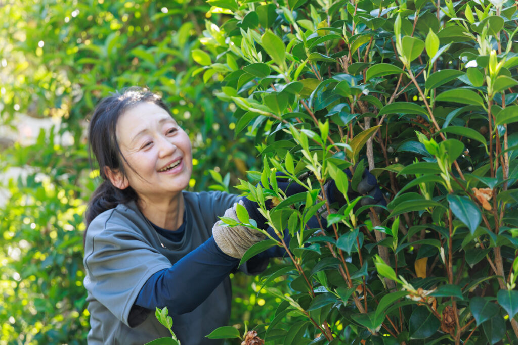植木職人の元村さん
